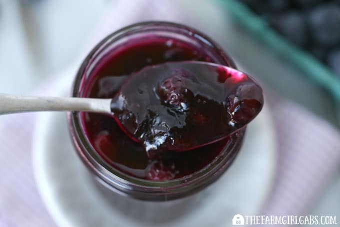 Homemade Blueberry Sauce