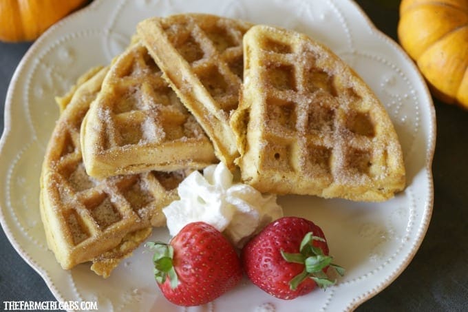 Cinnamon Sugar Pumpkin Waffles