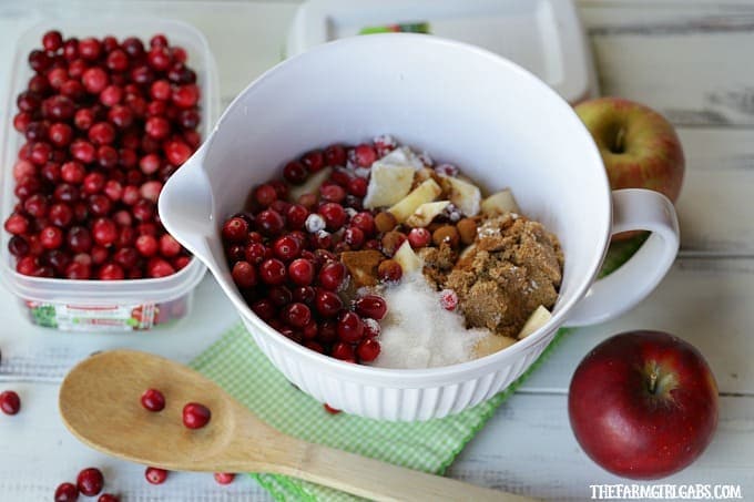 Sweet apples and tart cranberries collide to make these delicious Apple Cranberry Tarts. This is the perfect recipe for your fall celebration.