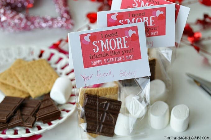 S’Mores Valentine Treat Bags