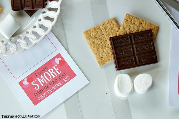 Share some campfire sweetness with your friends and create these cute S'Mores Valentine Treat Bags.