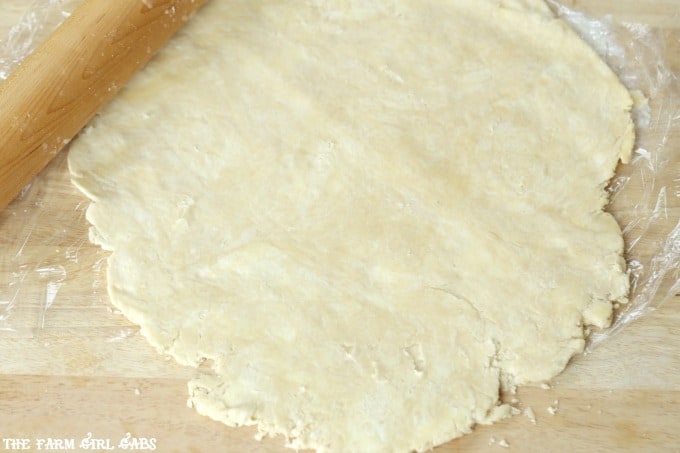 The perfect pie starts with the perfect pie crust. This Perfect Pie Crust Recipe is super easy and delectably flaky.