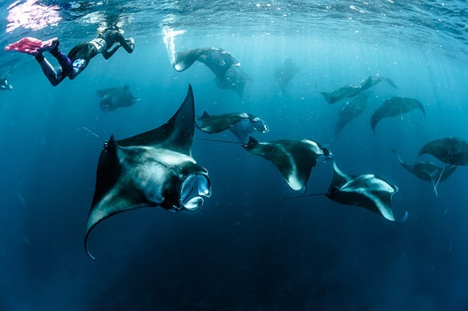Maldives