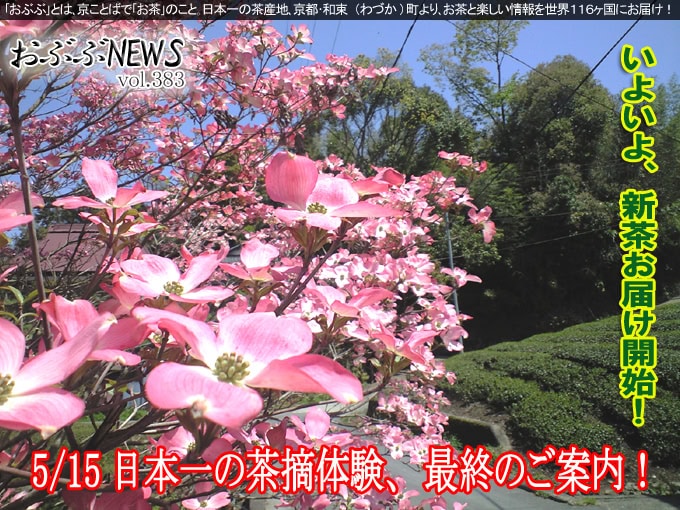 【おぶぶＮＥＷＳ】