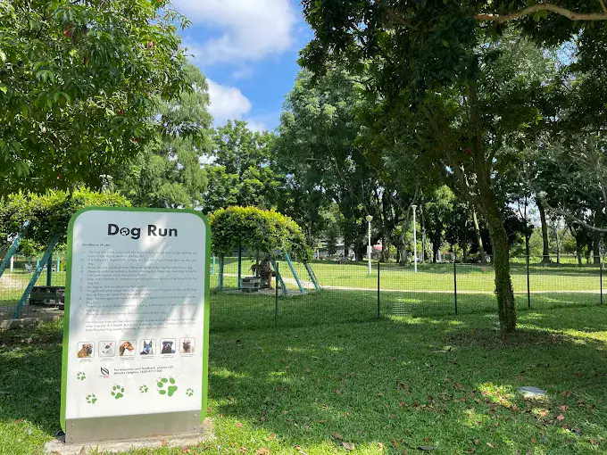 BishanDogRun(Google)Zhou Dong 2022