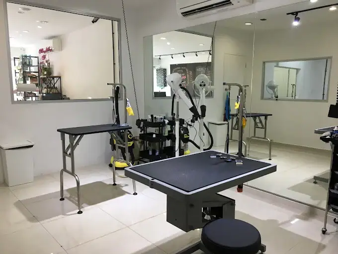 The Pawlour (Hougang)2