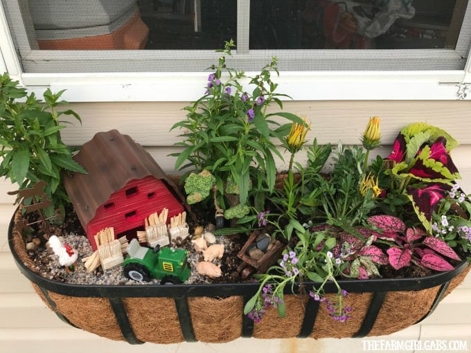 Brighten up your gardening landscape with this DIY Miniature Farm Window Box Planter idea.