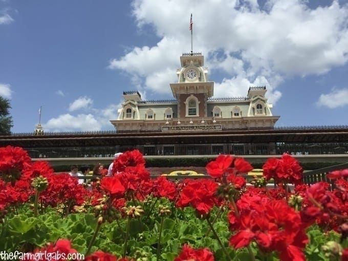 It truly is a magical place but visiting Walt Disney World can put a serious dent in your wallet. Here are some Money Saving Tips For Walt Disney World.