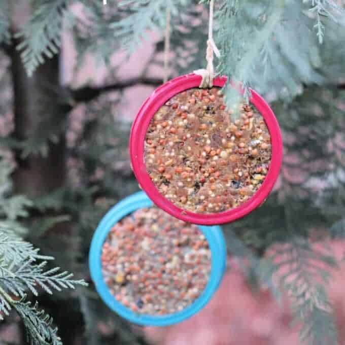 jar lid bird feeder