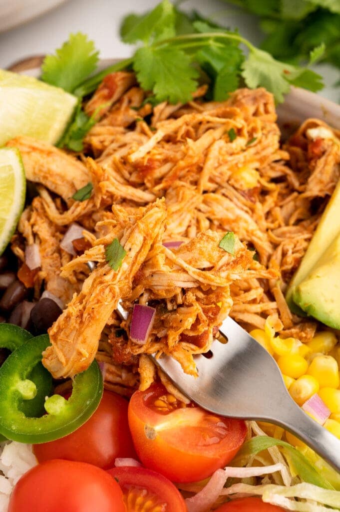 a scoop of salsa chicken on a fork