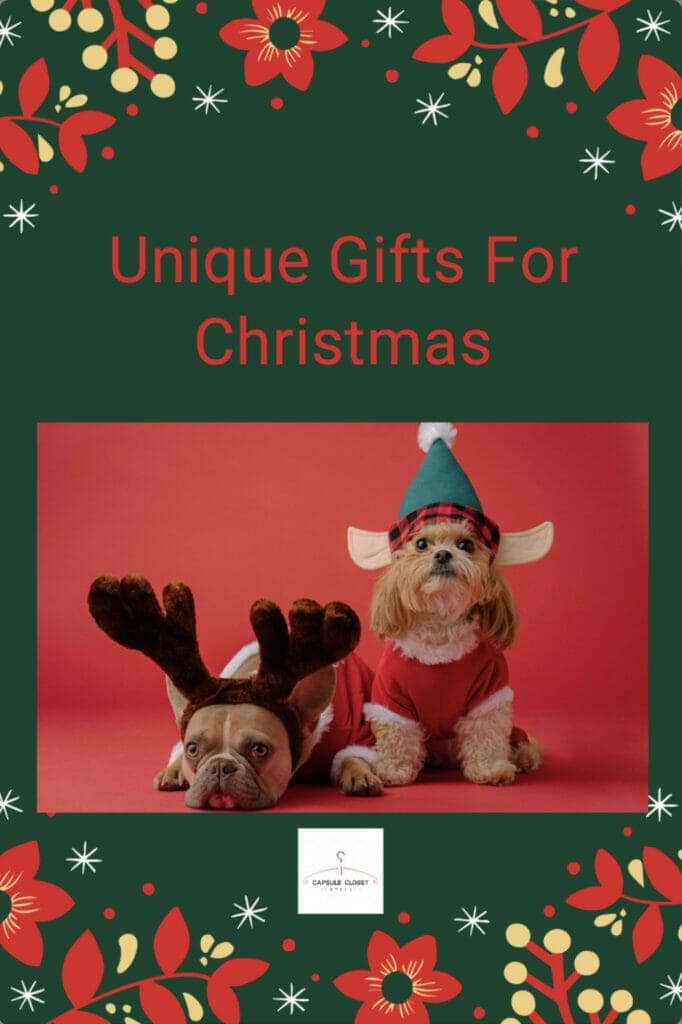 two dogs dressed in Christmas gear