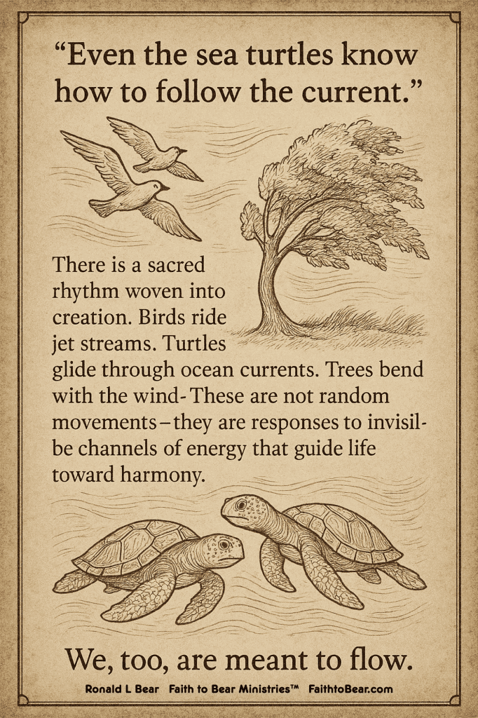 Illustration of birds, turtles, and a bending tree, with a poetic message about divine energy and natural harmony.