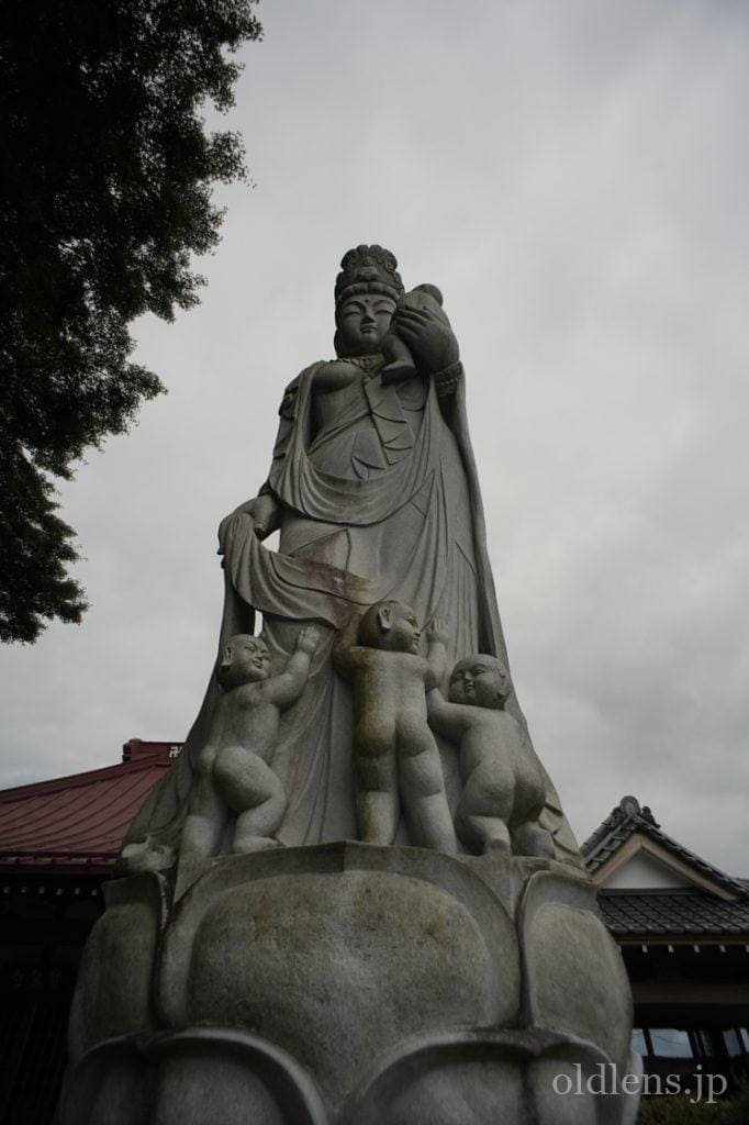Carl Zeiss Jena Flektogon(フレクトゴン) 20mm F4 のレンズのレビュー作例 エモい写真画像 神社 寺 母子観音像 風景 人物