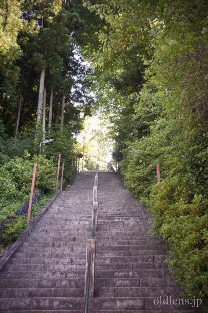Leica(Leitz) Summaron 35mm F3.5 Lマウント 描写の特徴とレビュー作例 住吉神社 エモい写真画像 ブログ
