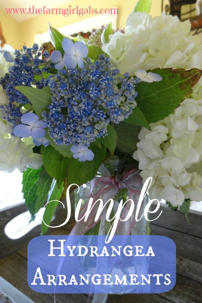 Hydrange Pinterest