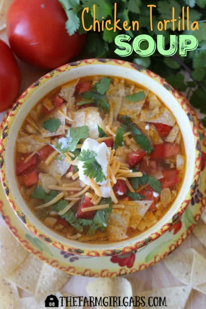 This zesty Chicken Tortilla Soup has just enough zing to warm you up on a cold day.