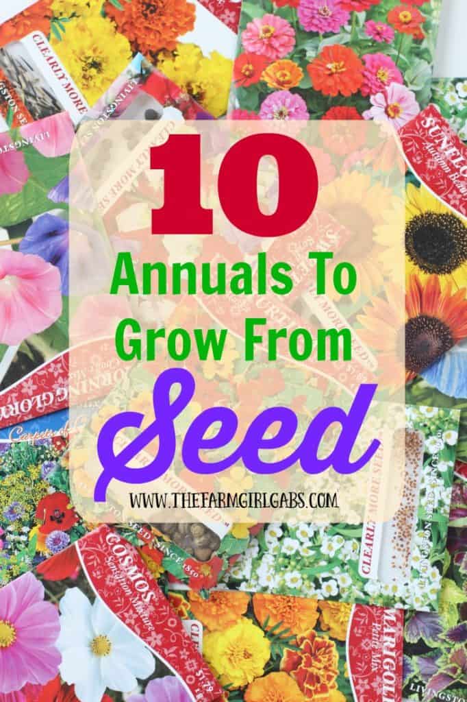 10 Annuals To Grow From Seed from www.thefarmgirlgabs.com