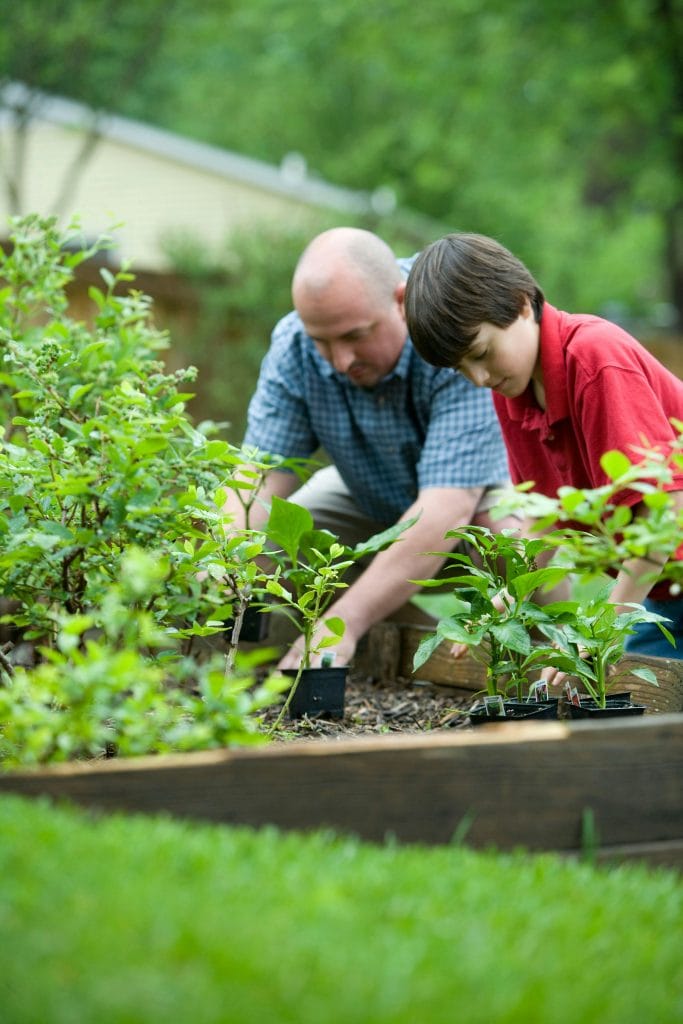 sustainable parenting