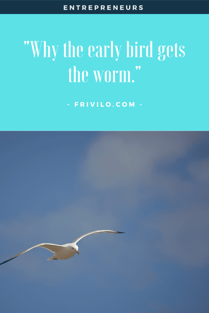 What Does the Saying the Early Bird Gets the Worm