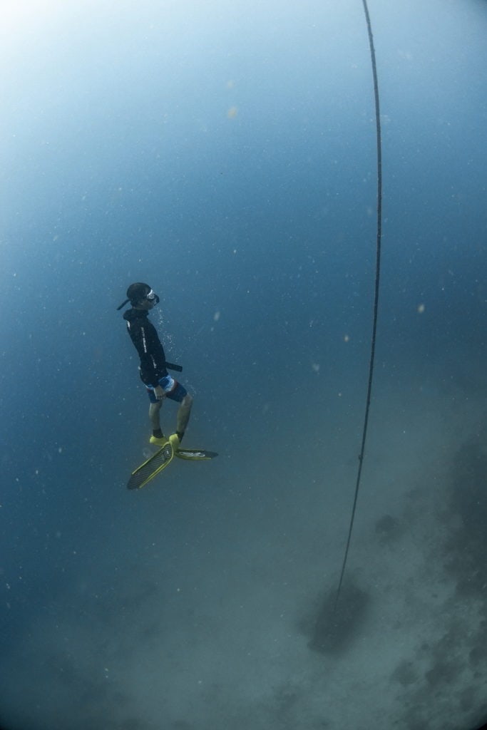 freediving กลั้น หายใจ