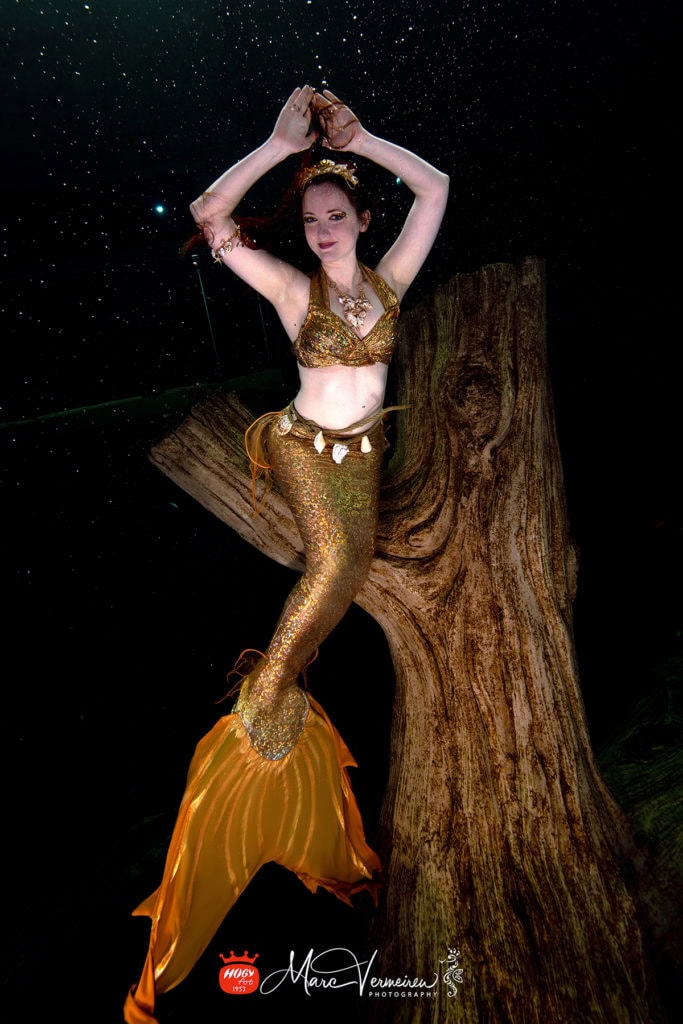 photos de sirène 2018, sirène, mermaid, sirène professionnelle, tail, professional mermaid, galatée la sirène, Todi aquarium