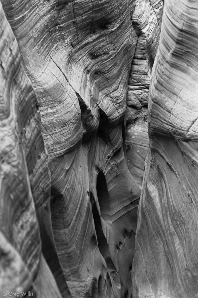 Zebra Slot Canyon Monochrome