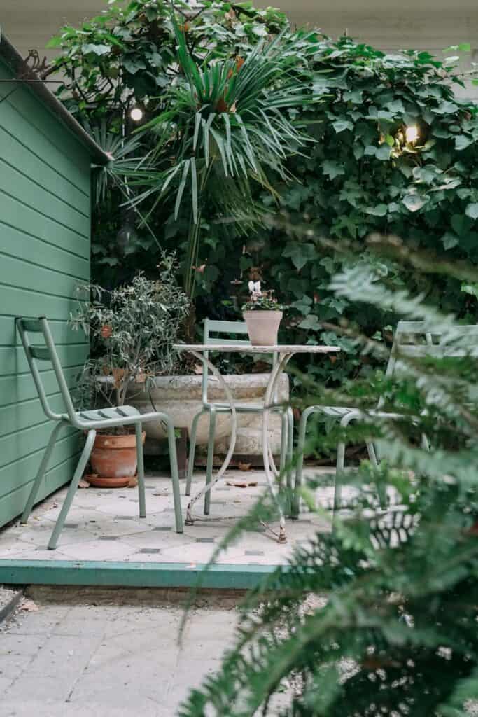 Bringing A Little Structure To A Messy Garden