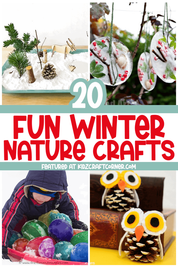 winter nature crafts