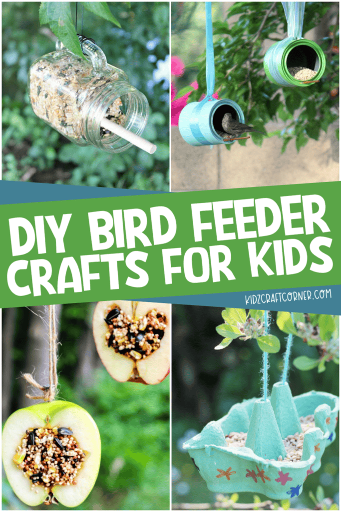 bird feeders for kids to try