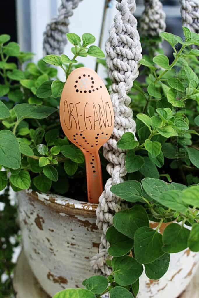 plastic spoon garden markers