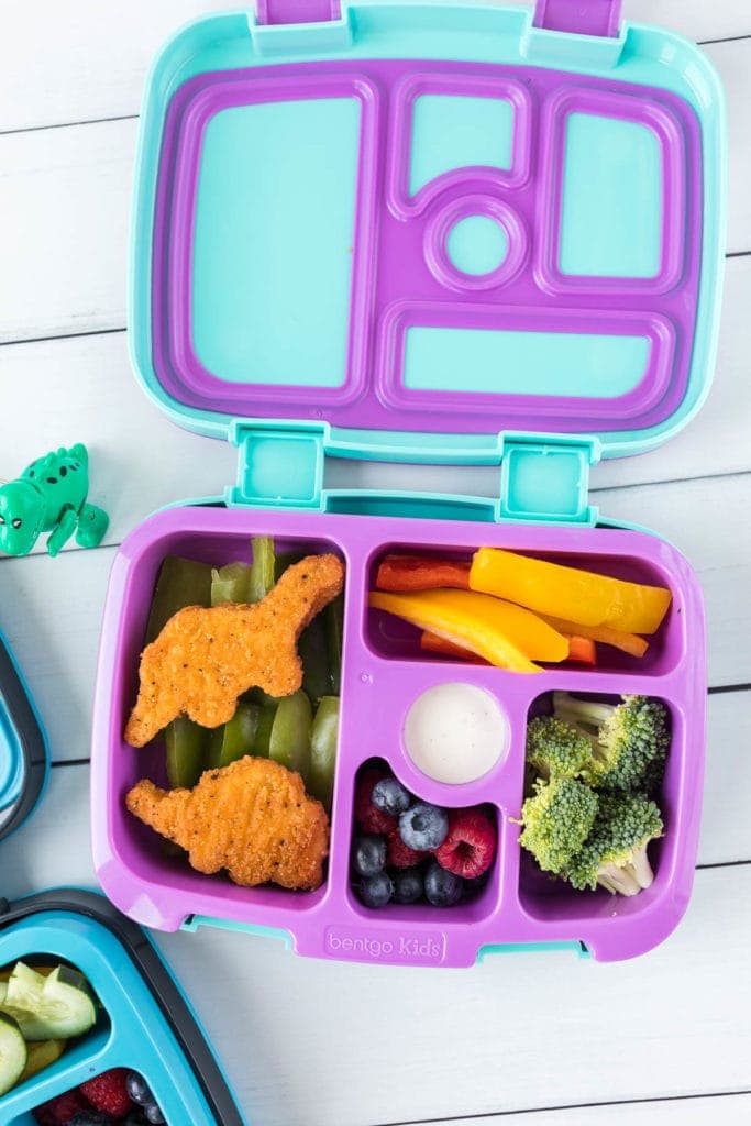 How to Make a Dinosaur Themed Lunchbox