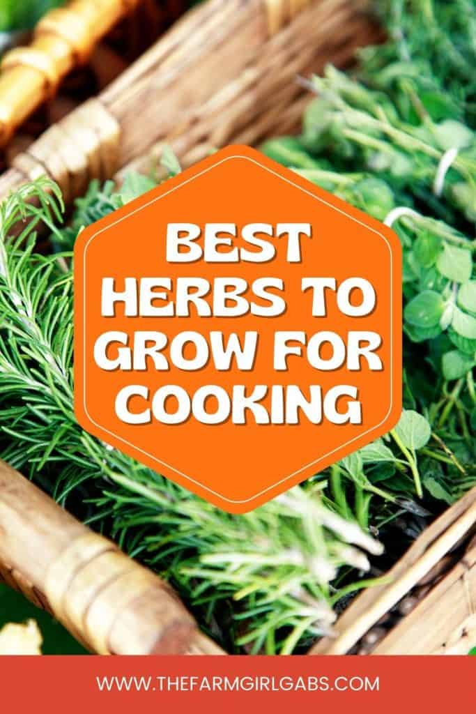 Best Herbs To Grow For Cooking