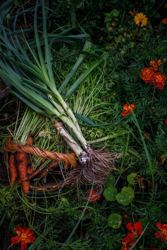 Leeks