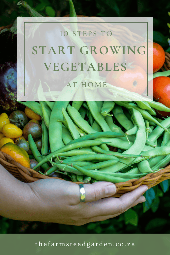 10 Steps to Start Growing Vegetables at Home South Africa