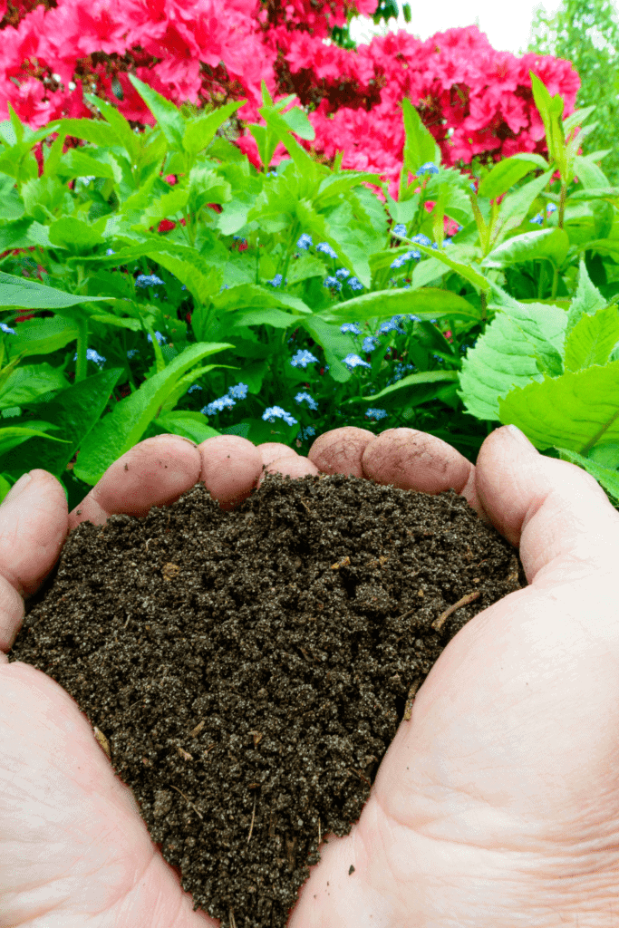 Image illustrates compost for a survival garden.