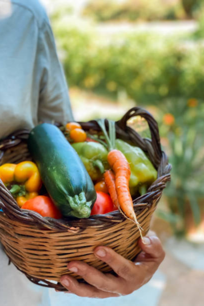 Image illustrates a basket of vegetables from a survival garden.