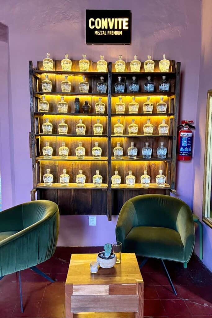bottles of mezcal on the wall at Casa Convite Oaxaca mezcaleria