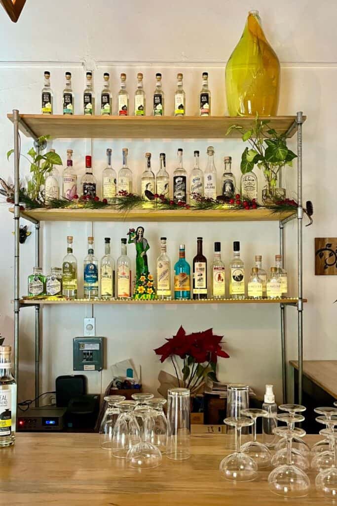 charming mezcal bar in Oaxaca City called La Casa Grande Mezcaleria