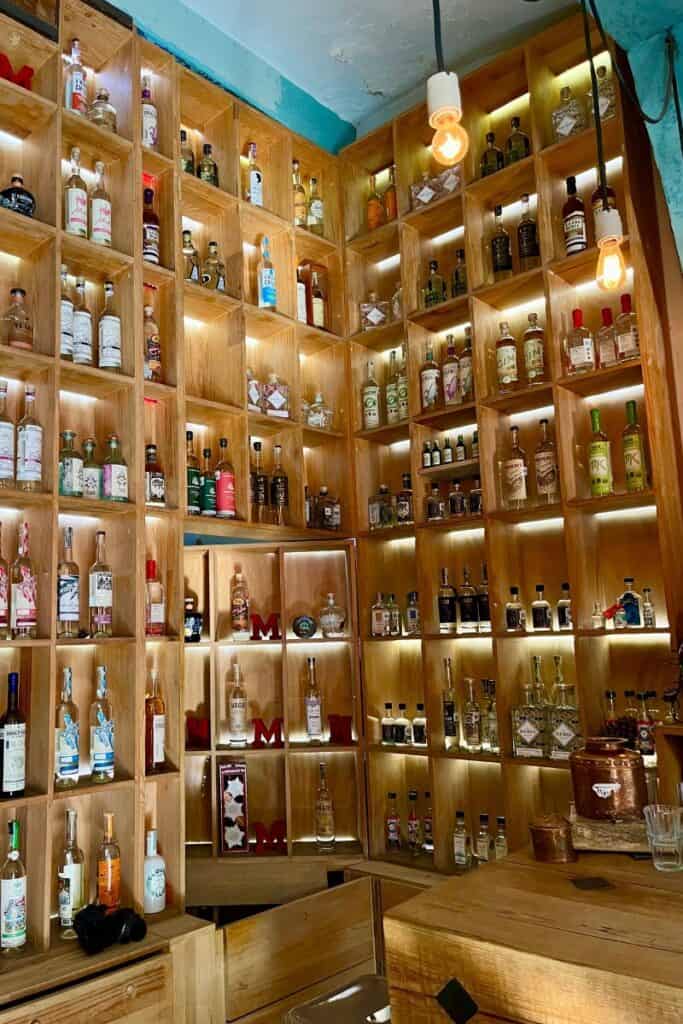 large shelf with many bottles of mezcal at La Mezcalilera Oaxaca City
