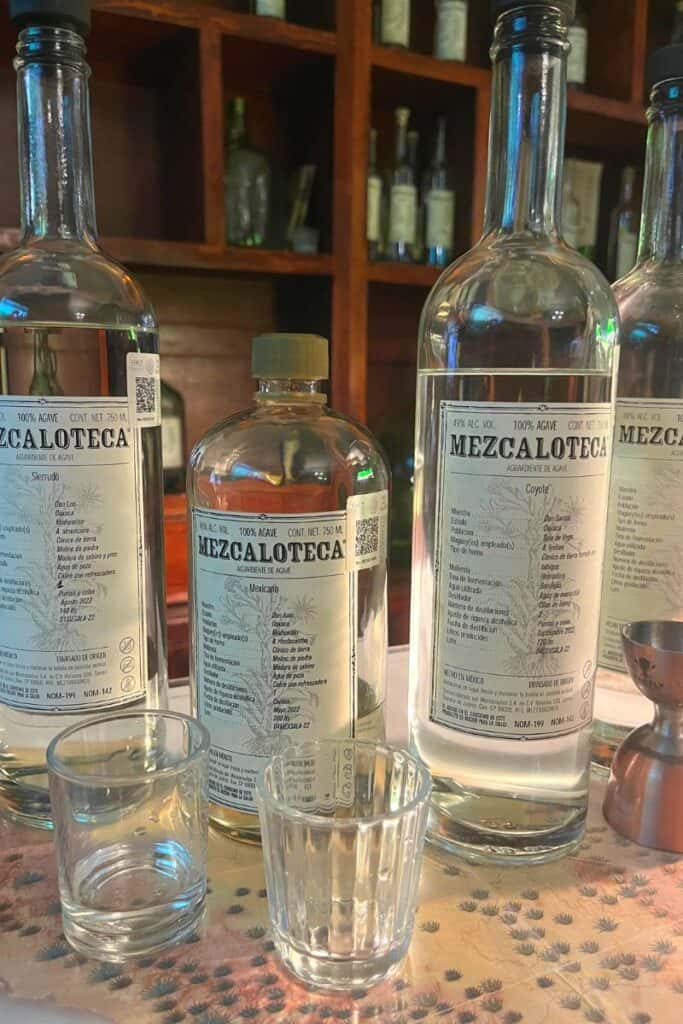 four bottles of mezcal and two small shot glasses at La Mezcaloteca, one of the best Mezcalerias Oaxaca City has