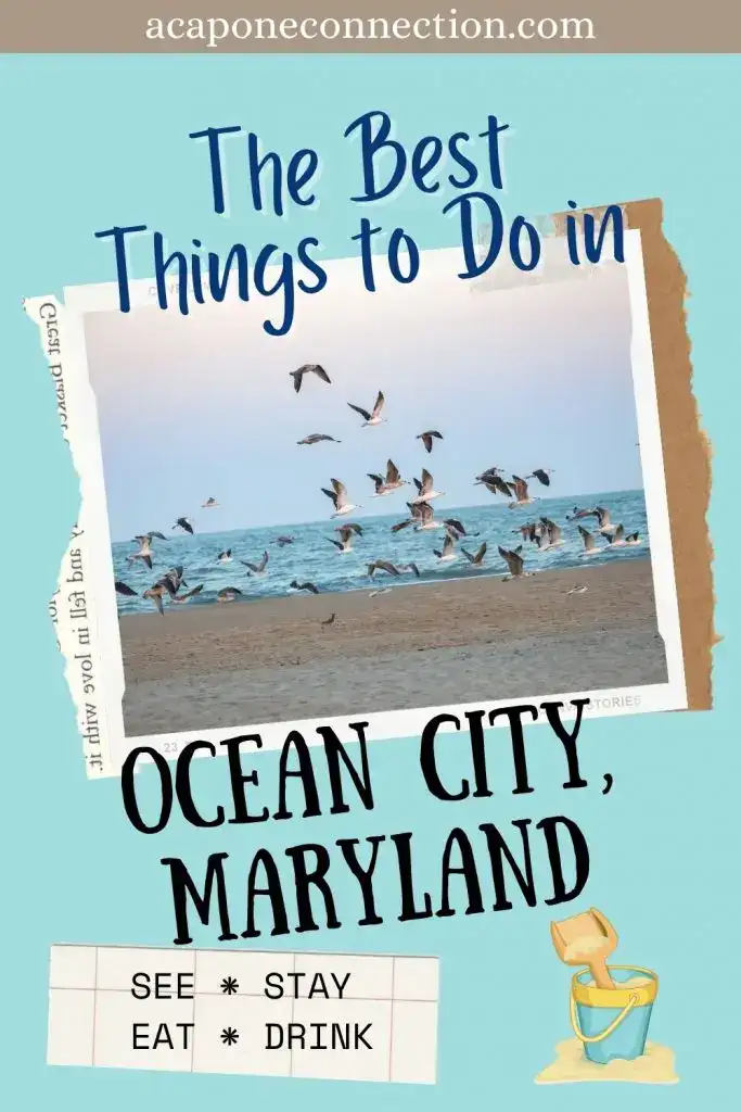 The Best Things to Do in Ocean City Maryland