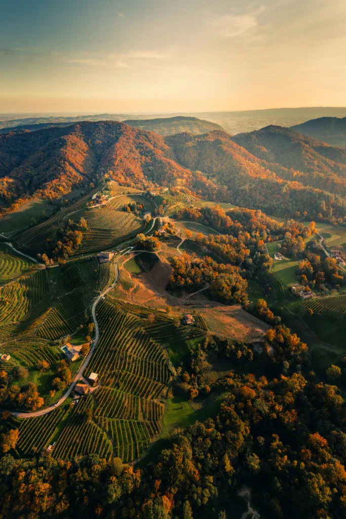 Wine resort nel nord Italia tra vigne e grandi vini