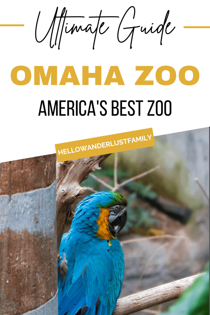 Get Wild in Omaha A Guide to America’s Best Zoo Omaha Zoo Hello Wanderlust Family