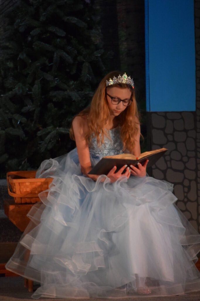 Martin Luther School students performing Out of the Woods spring musical 2026