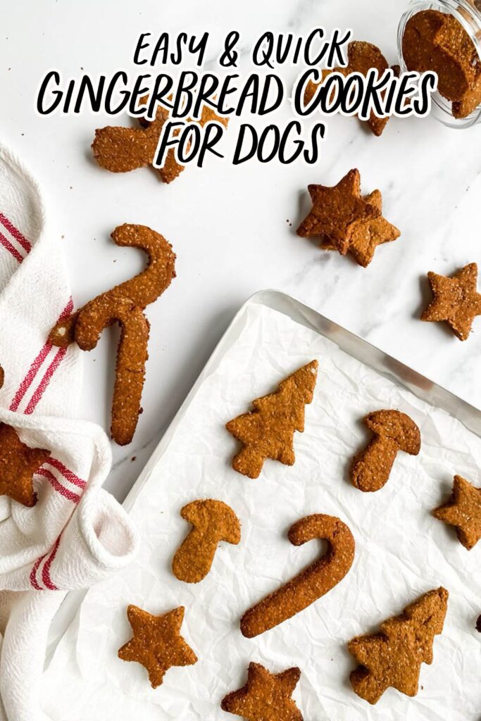 Easy Gingerbread Cookies For Dogs, 6 Ingredients Only 10 Homemade gingerbread cookies for dogs shaped like stars, candy canes, and Christmas trees, arranged on parchment paper and a white towel with red stripes. These rustic, wholesome treats make a festive, dog-friendly snack option for the holiday season.