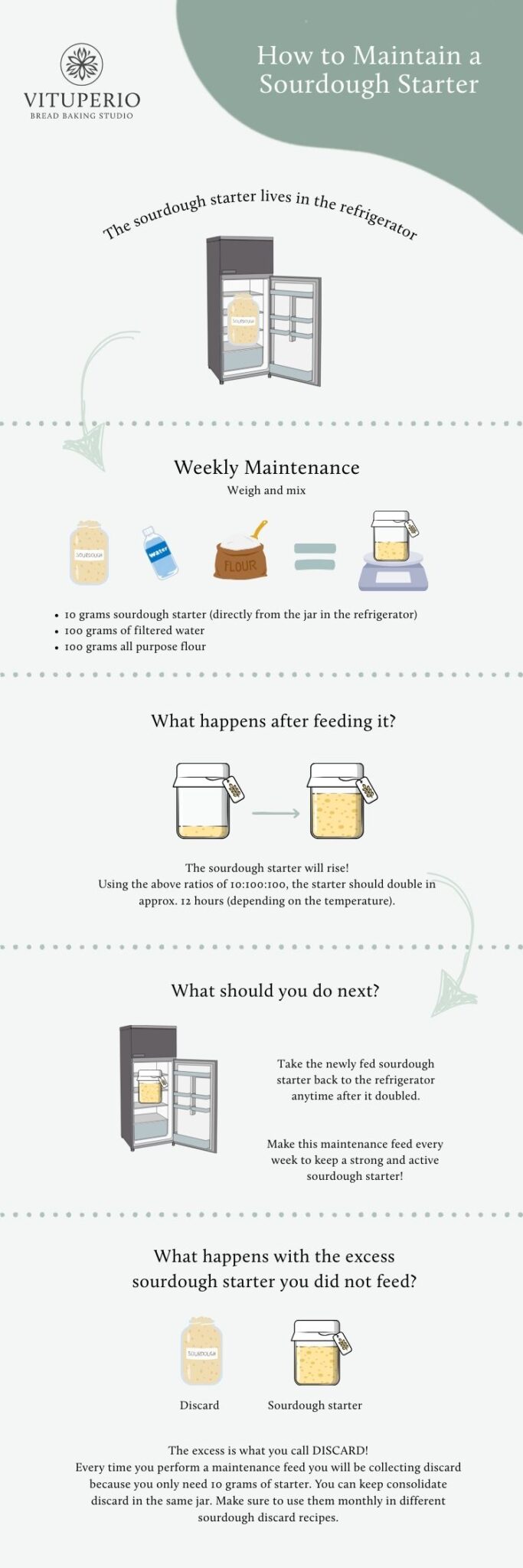 How to maintain a sourdough starter diagram