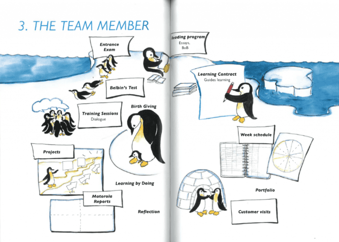 team member