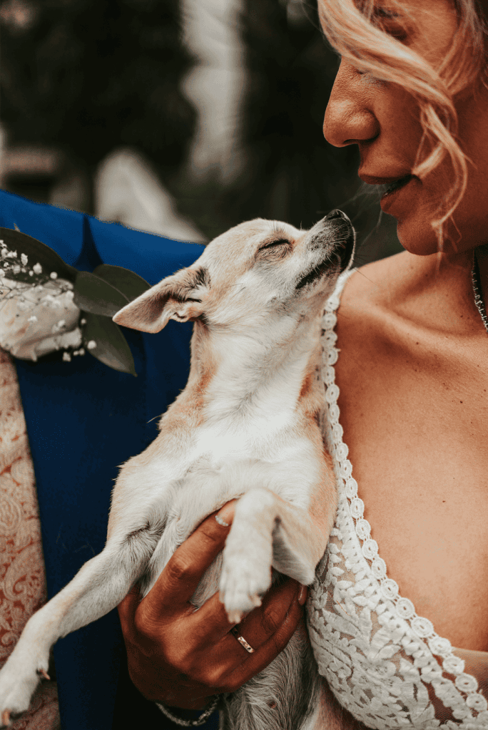 Fotografo profesional bodas