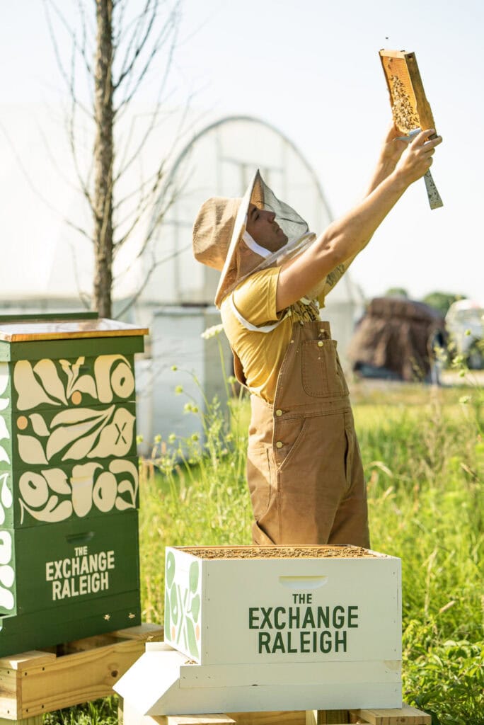 A beekeeper admires honeycomb in the apiary at the Exchange in Raleigh