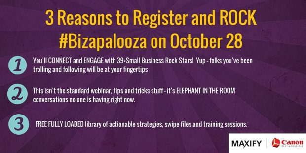 Bizapalooza 2015 3 days of Peace Planning and Profits